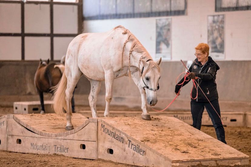 RuF Elverter Heide e.V.